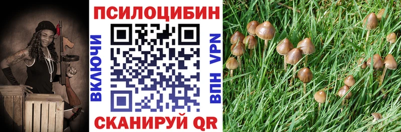 Галлюциногенные грибы Psilocybine cubensis  Батайск 